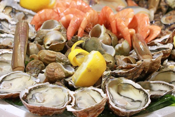 coquillages 7 octobre 2016