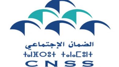 Emplois déclarés à la CNSS: une progression annuelle de 8,9% cnss.logo 390x220 - Emplois déclarés à la CNSS: une progression annuelle de 8,9%