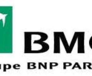 BMCI