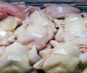 Poulet hausse prix 8 mai 2016 Food Boisson