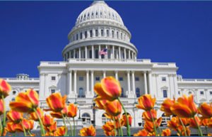 washington ram vol 13 juillet 2016 hotel voyages