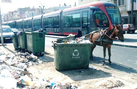 Casablanca rabat menages qualte de vie 27 septembre 2016 bien dans sa peau