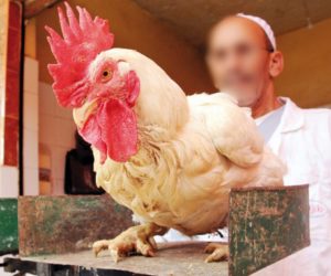 prix poulet vif 26 septembre 2016 food boissons