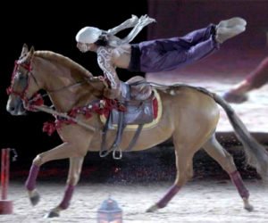 salon du cheval 26 septembre 2016 Sortir
