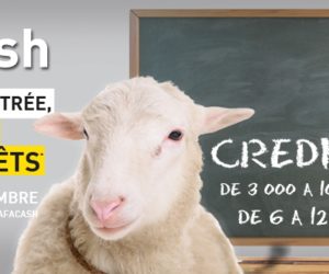 wafa cash salaf banques 6 septembre 2016 finance credit