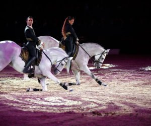 Endurance équestre, art et photographie lors de la 2e journée du Salon du Cheval d’El Jadida