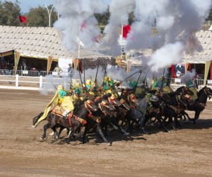 9ème édition du Salon Du Cheval