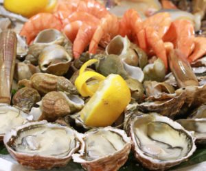 coquillages   7 octobre 2016 300x250 - Coquillages d'El Jadida et Safi impropres à la consommation!