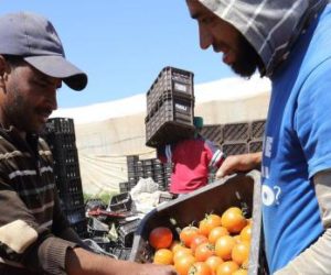 agriculture maroc croisssance 5 octobre 2016