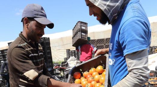 agriculture maroc croisssance 5 octobre 2016
