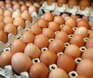 oeufs 300x250 - Oeufs : la consommation en chiffres