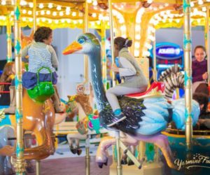 Carroussel Yasmine Fun Park 300x250 - Yasmine Fun Park, une chaîne de parcs est née!