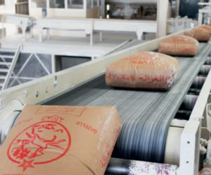 cmpe platre 300x250 - Groupe Safari: Une filiale introduite en Bourse?
