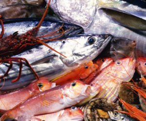 poisson 300x250 - Flambée des prix du poisson: le hashtag "laisse-le pourrir" est de retour