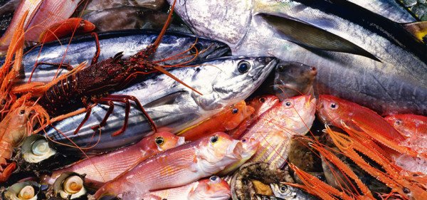 Poisson Al Hoceima – Consonews - Premier site consommation au Maroc