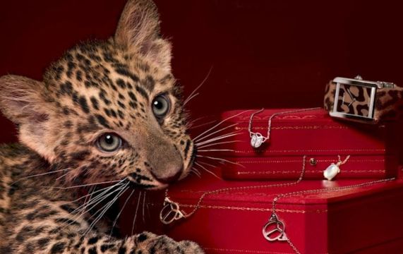 cartier 20 septembre 2016 mode beauté - Cartier s'installe au Hyatt!
