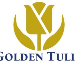 GOLDEN TULIP 300x250 - 2017, une année sans Gloden Tulip?!