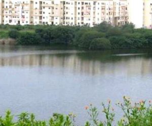 etang oulfa 300x250 - Parc naturel : Lydec fait un geste envers Casablanca