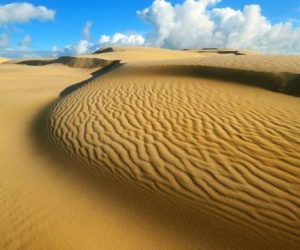 sahara 300x250 - Sahara : un livre d'histoire relatant sa marocanité