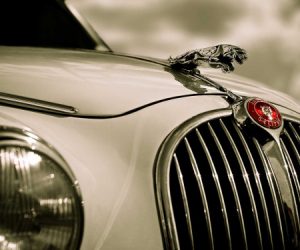 Luxe : Jaguar se "démocratise" au Maroc jaguar 300x250 - Luxe : Jaguar se "démocratise" au Maroc