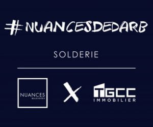 Déco/Art de la table: une chic solderie à Dar Bouazza Bonzai Tgccimmo Nuancesdedarb Cover 170404 300x250 - Déco/Art de la table: une chic solderie à Dar Bouazza