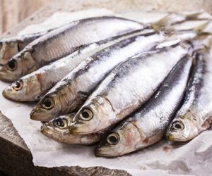 sardines 300x250 - Ramadan : la sardine en vedette!