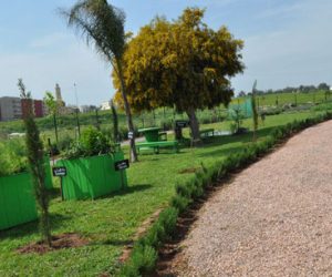 Espace Expérimental dagriculture urbaine 300x250 - Lydec sensibilise ses parties prenantes à la protection de l’environnement et de l’océan (PHOTOS)