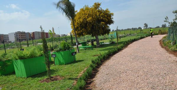 Lydec sensibilise ses parties prenantes à la protection de l’environnement et de l’océan (PHOTOS) Espace Expérimental dagriculture urbaine - Lydec sensibilise ses parties prenantes à la protection de l’environnement et de l’océan (PHOTOS)