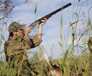 chasse 300x250 - Saison de chasse 2022-2023 : la plupart des indicateurs en évolution positive