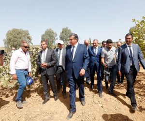 Akhannouch 300x250 - Akhannouch visite plusieurs projets de développement agricole à Taounate  en marge du festival national de la figue