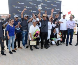 cheval Arabe Barbe 4 300x250 - Franc succès pour la première édition du Meeting National du Barbe et Arabe-Barbe