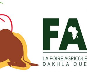 faid dakhla 300x250 - Coup d'envoi pour la Foire Agricole Internationale de Dakhla