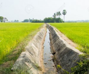 irrigation 300x250 - Food: des exploitations à Casablanca irriguées aux eaux usées!