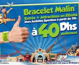 sindibad d’eěcran 2017 09 20 aĚ 16.40.27 300x250 - Parc Sindibad : Place au bracelet Malin