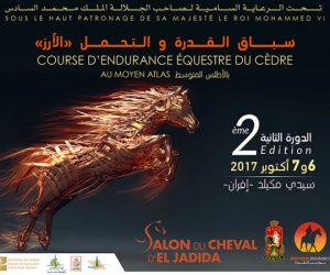 visuel course dendurance équestre du cèdre 300x250 - Le Salon du Cheval d’El Jadida organise la seconde édition  de la Course d’Endurance Équestre du Cèdre au Moyen-Atlas