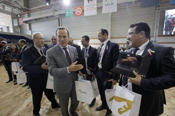 05A3756 - Résultats de la coupe des champions des Chevaux Arabe-Barbes