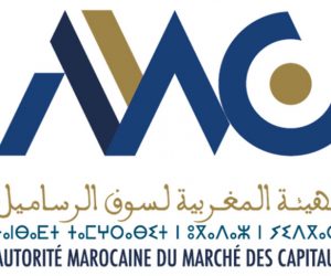 Organisation Internationale des Commissions de Valeurs OICV 300x250 - Mme Nezha Hayat, présidente de l’Autorité Marocaine du Marché des Capitaux,  élue à la vice-présidence du Comité Régional Afrique et Moyen-Orient (AMERC) de l’Organisation Internationale des Commissions de Valeurs (OICV)