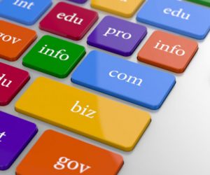 nom de domaine 300x250 - Internet: les noms de domaine accentués ouverts à la vente