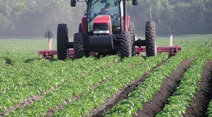 Agriculture Maroc UE Lecotidien.com Information et Actualité Economique du Maroc et dAilleur 04 Dpw5UQ8.image corps article - Prix agricoles : 6 chiffres clés qui révèlent l’impact des mesures gouvernementales