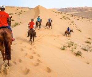 Gallops 7 300x250 - 1ère édition des Gallops of Morocco,  Du 25 février au 4 mars 2018