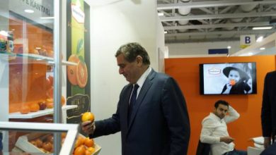 Image 4 390x220 - 17ème participation marocaine au FRUIT LOGISTICA Du 7 au 9 Février 2018 à Berlin (PHOTOS)
