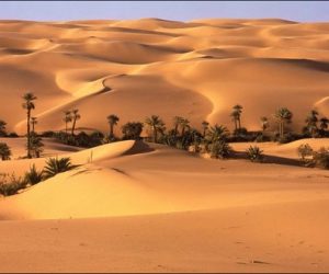 oasis 300x250 - Bien-Être/Index: le bonheur est dans le sable!