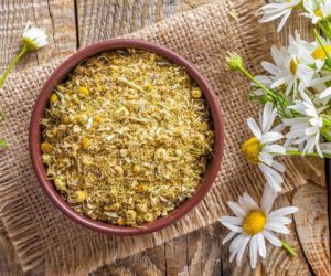 camomille 300x250 - Food-Santé: la camomille et ses multiples bienfaits