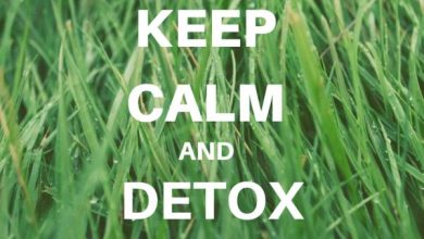 Santé: les 5 réflexes détox pour un bon Ramadan detox 390x220 - Santé: les 5 réflexes détox pour un bon Ramadan