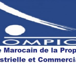 ompic 300x250 - Certificat d’Animateur en Propriété Industrielle remis aux lauréats 2017-2018