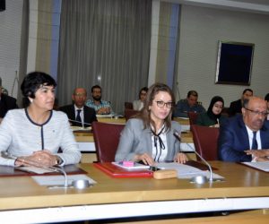 DSC 0707 300x250 - Boutayeb et Afailal soulignent que le nouveau système météorologique est une avancée dans la gestion des alertes météorologiques