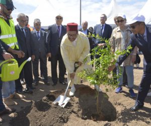 PHOTO SAZ 300x250 - La Société d’Aménagement Zenata (SAZ) lance les premières plantations du parc central de l’Eco-Cité Zenata