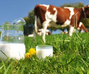 lait pasteurisé 300x250 - Boycott: et si l'Etat vendait du lait?! (Billet)