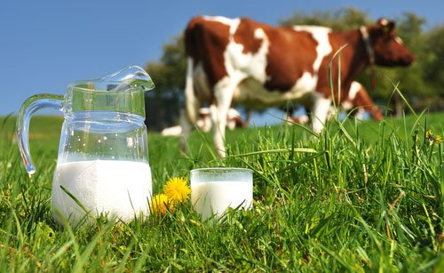 lait pasteurisé – Consonews - Premier site consommation au Maroc