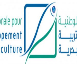 Agence National de développement de lAquaculture 300x250 - Journée portes-ouvertes sur les opportunités d’investissement en aquaculture dans la région de l’oriental